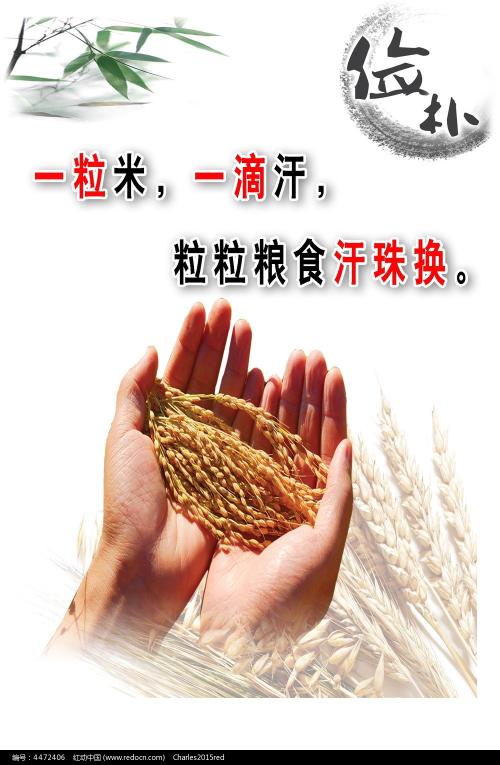 内蒙古结婚证假的多少钱